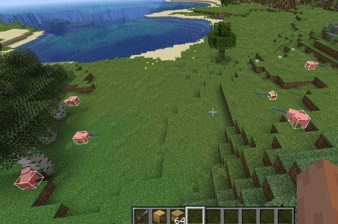 Debug-Hitbox-2 - Online Tech Tips F3+B Activates Visible Hitboxes and Line of Sight image - Debug-Hitbox-2