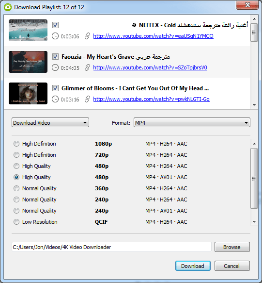 4k-video-downloader - Online Tech Tips How To Download Complete YouTube Playlists image 5 - 4k-video-downloader